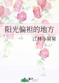 阳光偏袒的地方