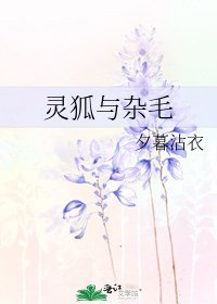 灵狐与杂毛